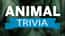 Animal Trivia