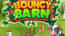 Bouncy Barn