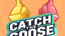 Catch The Goose