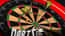 Darts Pro Multiplayer