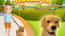Dog Life Simulator