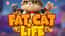 Fat Cat Life