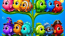 Fish Sort