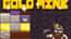 Gold Mine
