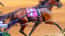 Harness Racing