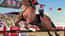 Horse Jumping Show 3D