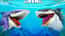 Hungry Shark Arena