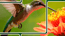 Jigsolitaire