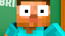 Mr Herobrine