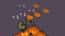 Pumpkin Clicker