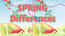 Spring Differences