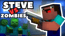 Steve vs Zombies