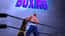 Ultimate Boxing Game