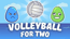 Volleyball for Two