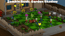 Zombie Rush Garden Shadow