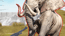 Zoo Anomaly Simulation