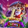 Thumbnail of 10x10 Winter Gems