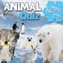 Thumbnail of Animal Quiz