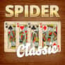 Thumbnail of Classic Spider Solitaire