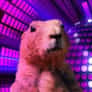 Thumbnail of Disco marmot Clicker