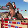 Thumbnail of Horse Jumping Show 3D