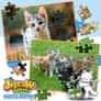 Thumbnail of Jigsaw Puzzle Cats Kitten