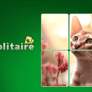 Thumbnail of Jigsolitaire
