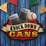 Thumbnail of Knock Down Cans