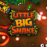 Thumbnail of Little Big Snake