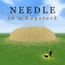 Thumbnail of Needle in a Haystack