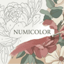 Thumbnail of Numicolor