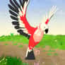 Thumbnail of Parrot Simulator