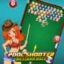 Thumbnail of Pool Shooter Billiard Ball