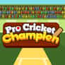 Thumbnail of Pro Cricket Champion