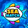Thumbnail of Sea Match