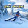 Thumbnail of Ski Rush Game