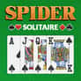 Thumbnail of Spider Solitaire Big