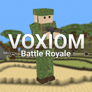 Thumbnail of Voxiom IO