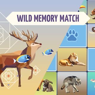 Auto Free Memory Wild Memory - Play for free - Online Games