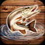 Fish Rain