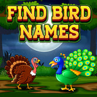 Thumbnail of Find Birds Names