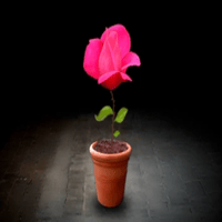 Thumbnail of Mitosis