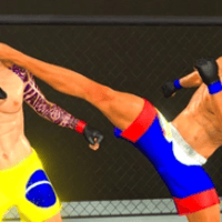 Thumbnail of MMA fighting 3D