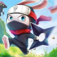 Thumbnail of Ninja Rabbit