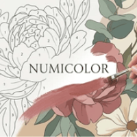 Thumbnail of Numicolor
