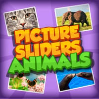 Picture Slider Animals