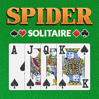 Spider Solitaire Big