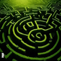 Thumbnail of Survive in the maze