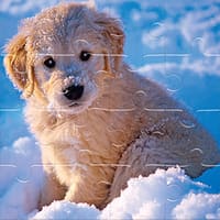 Winter Pets Jigsaw