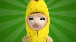 Splash image Splash image